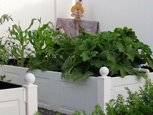 Raised garden beds made with garage door panels www.lifeatthecottage.com