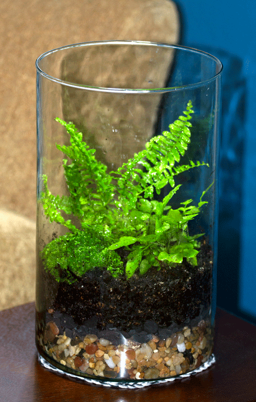 Finished Terrarium. How to create a terrarium www.lifeatthecottage.com