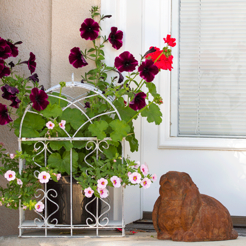 Birdcage with Flowers www.lifeatthecottage.com