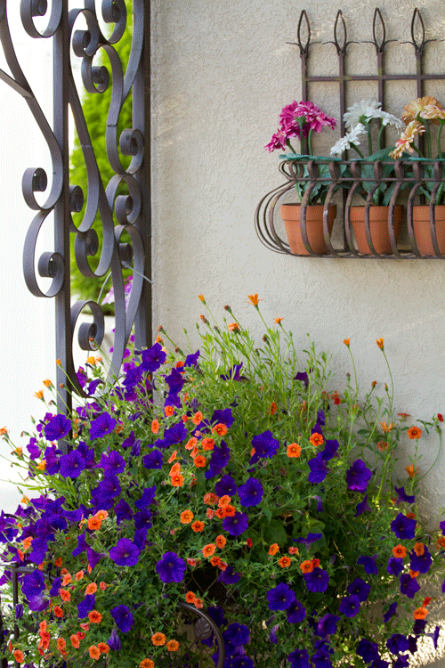 Bold Flowers with Iron Accents www.lifeatthecottage.com